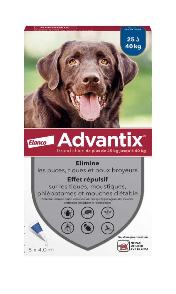 4007221020998 Advantix Grand Chien 6 Pipettes