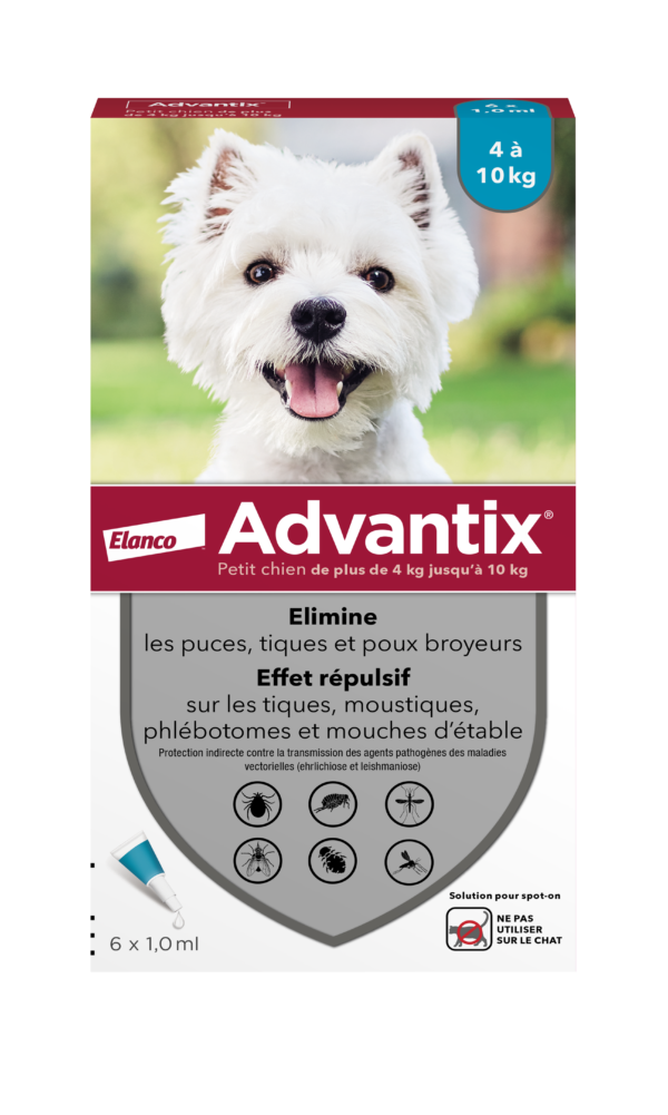 4007221021018 Advantix Petit Chien 6 Pipettes