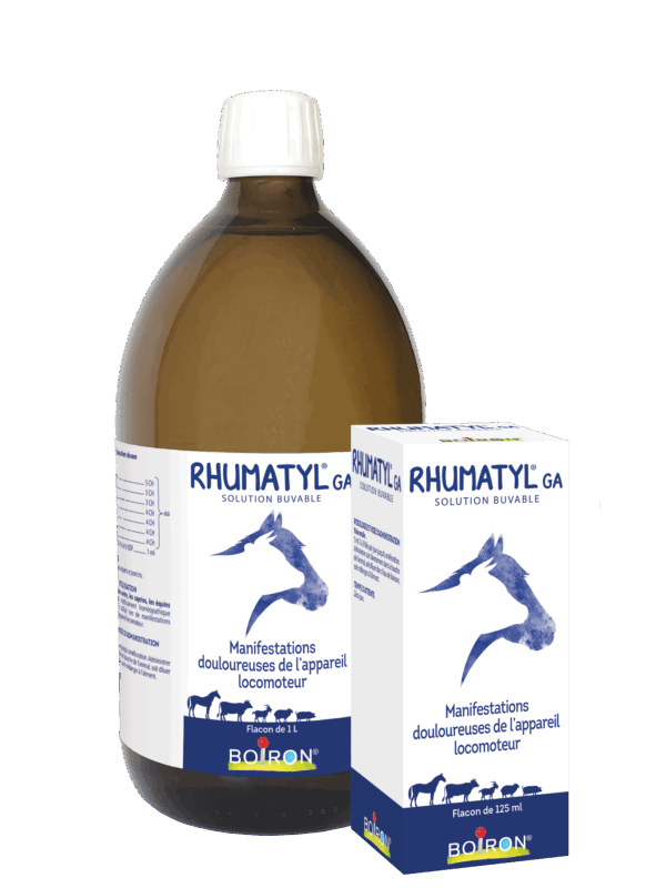 64f5dea74822e FLACON1L ETUI25ML RHUMATYL 2018 64f5dea7482a4