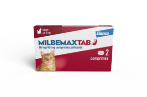 BoxMMXtabChat2cp 1