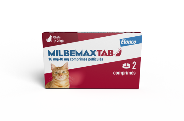 BoxMMXtabChat2cp 1