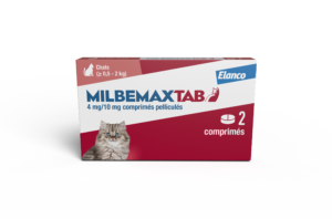 BoxMMXtabChaton2cp 1