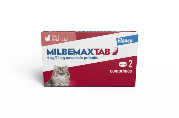 BoxMMXtabChaton2cp 1