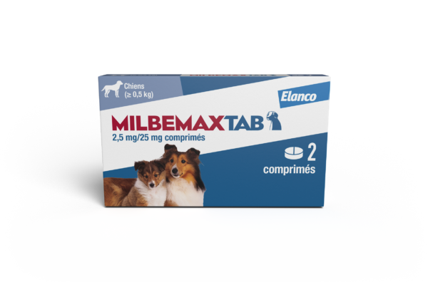 BoxMMXtabchiot 1