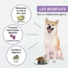 Croquettes chien digestion hypoallergenique vetonut 05 bienfaits