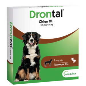 Drontal XL 2CPS