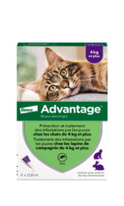 ELANCO Advantage GC Boite 4 Face BD