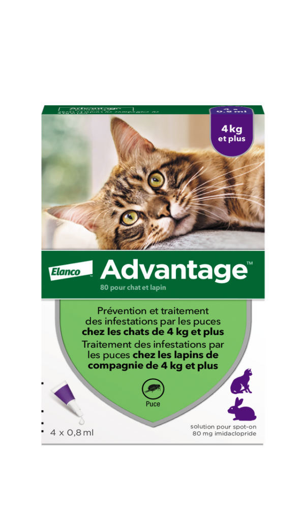 ELANCO Advantage GC Boite 4 Face BD