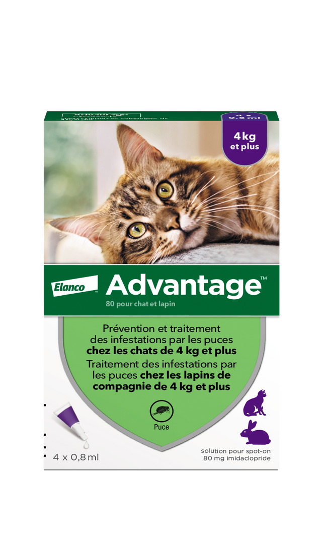 ELANCO Advantage GC Boite 4 Face BD