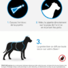 Spot on chien Guide d utilisation OK (1)