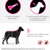 Tri act chien Guide d utilisation OK