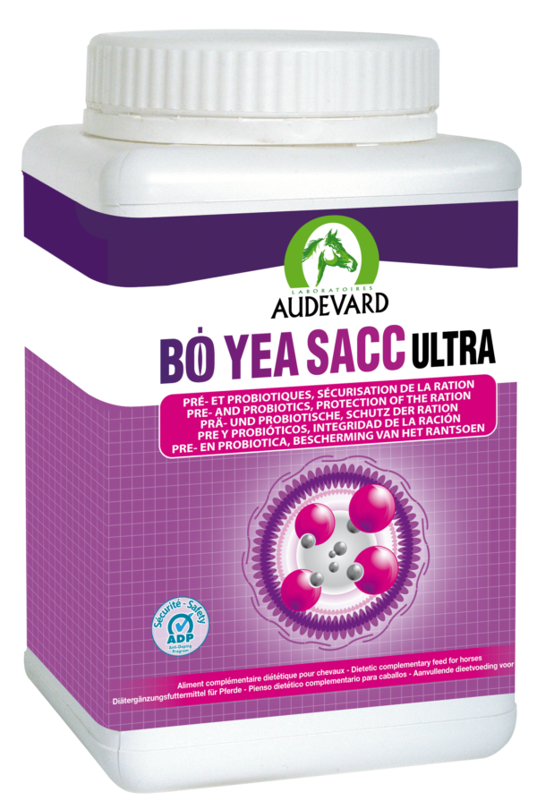 bo yea sacc flore intestinale 600 g ou 1 2 kg audevard