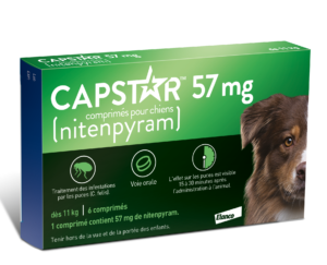 capstar anti puce chien 11 kg 6 cp elanco