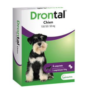 drontal chien vermifuge efficacite maximale en 4 comprimes