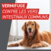frontcontrol wormer chien 01