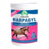harpagyl audevard (4)