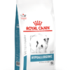 hypoallergenic small dog