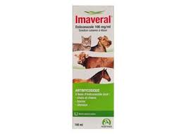 imaveral solution cutanee antimycosique 100 ml audevard