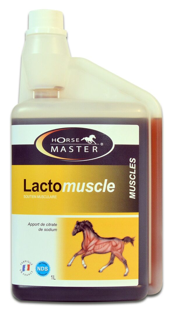 lactomuscle contre les crampes 1l ou 5l horse master 1