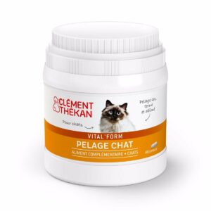 vital form pelage chat 48 capsules clement thekan