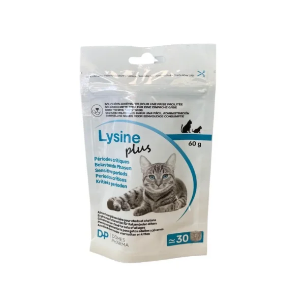 lysine