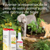 14211 Ecommerce WoundOintment FR 2021 3