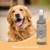 10149 Ecommerce Premium Spray Shampooing sec FR 2021 5