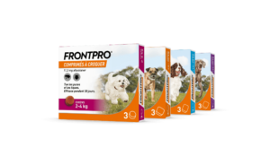 FRONTPRO POUR HP (2)