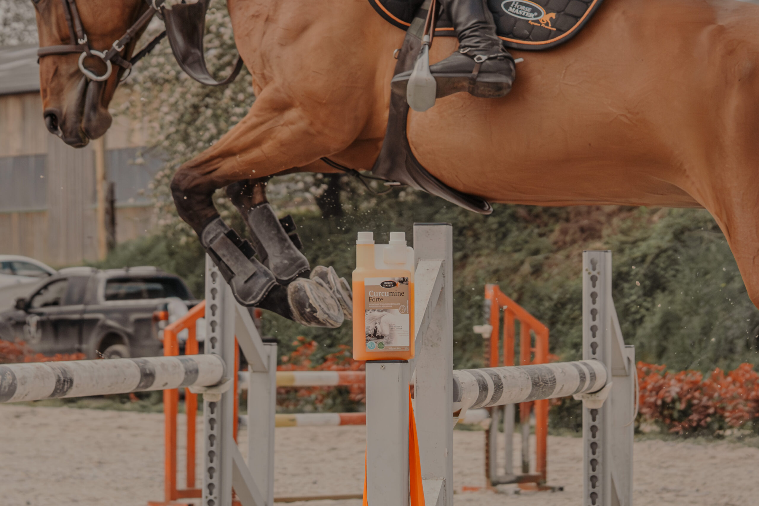 Curcumine Forte - Souplesse articulaire avec apport d'anti-oxydants - HORSE MASTER 4 CURCUMINE FORTE 1 (1)