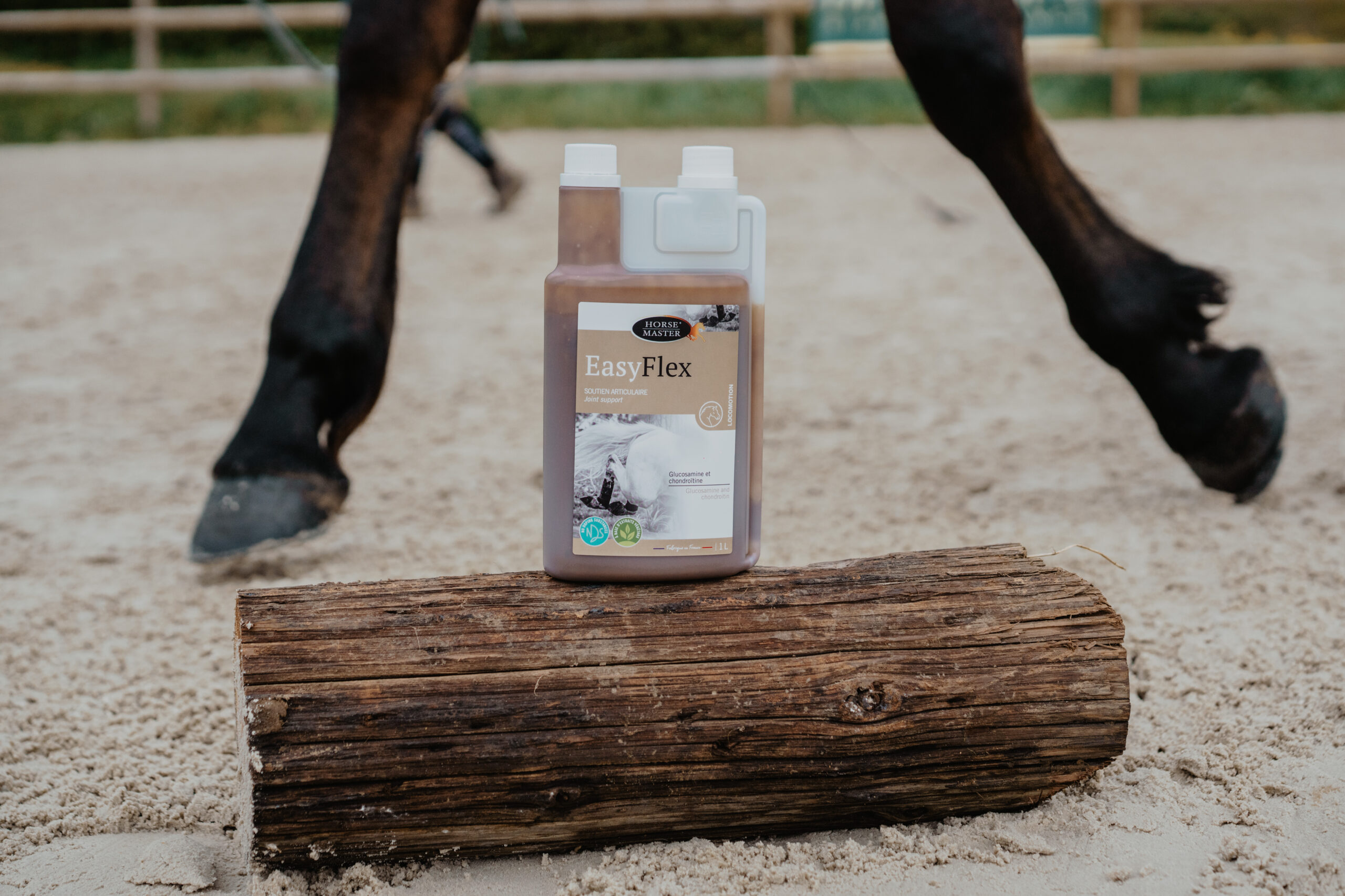 EASY FLEX - Protection des cartilages - HORSE MASTER 2 EASY FLEX