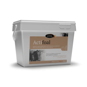 HM4 ACTIFOAL 10KG
