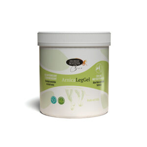 HM4 ARNICA LEG GEL 500G WEB