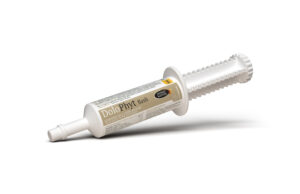 HM4 DOLOPHYT FLASH 30ML HD