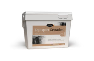 HM4 EQUISPORT GESTATION 3KG HD
