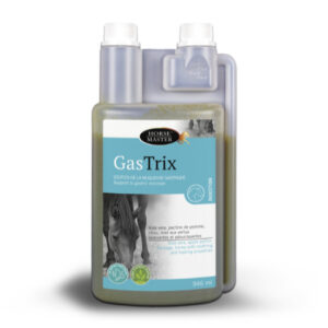 HM4 GASTRIX 946ML WEB