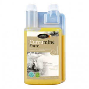 curcumine 2