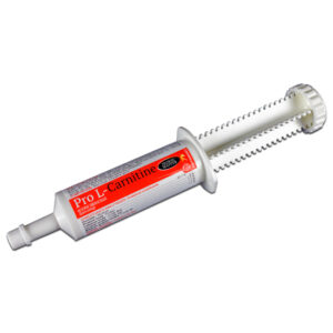 pro l carnitine.jpg