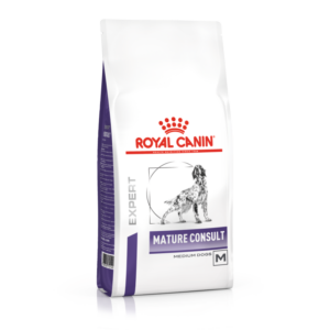 mature consult medium dog.jpg (1)