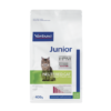 junior neutered cat.jpg