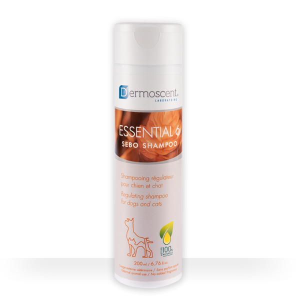 essential 6 sebo shampoo
