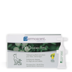 pyoclean oto