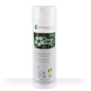 pyoclean shampoo