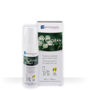 pyoclean spray