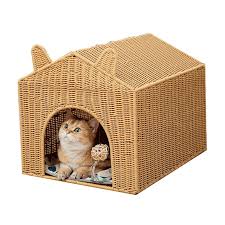 Hygiène de l'environnement CHAT