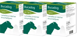 2023 BUCADOG S M L ombre 1920w