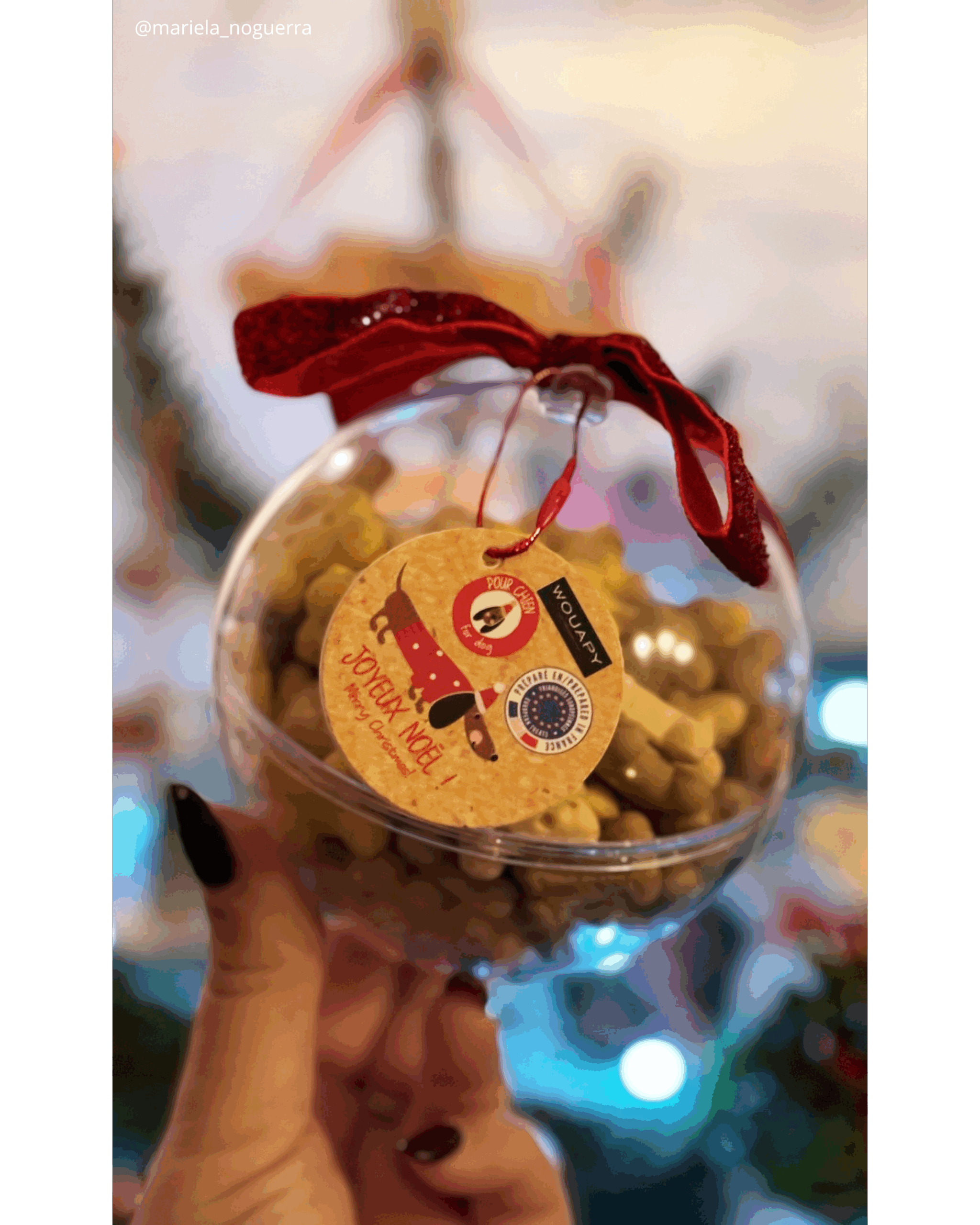 Boule de Noël Canibull - Chien 1 A (2)