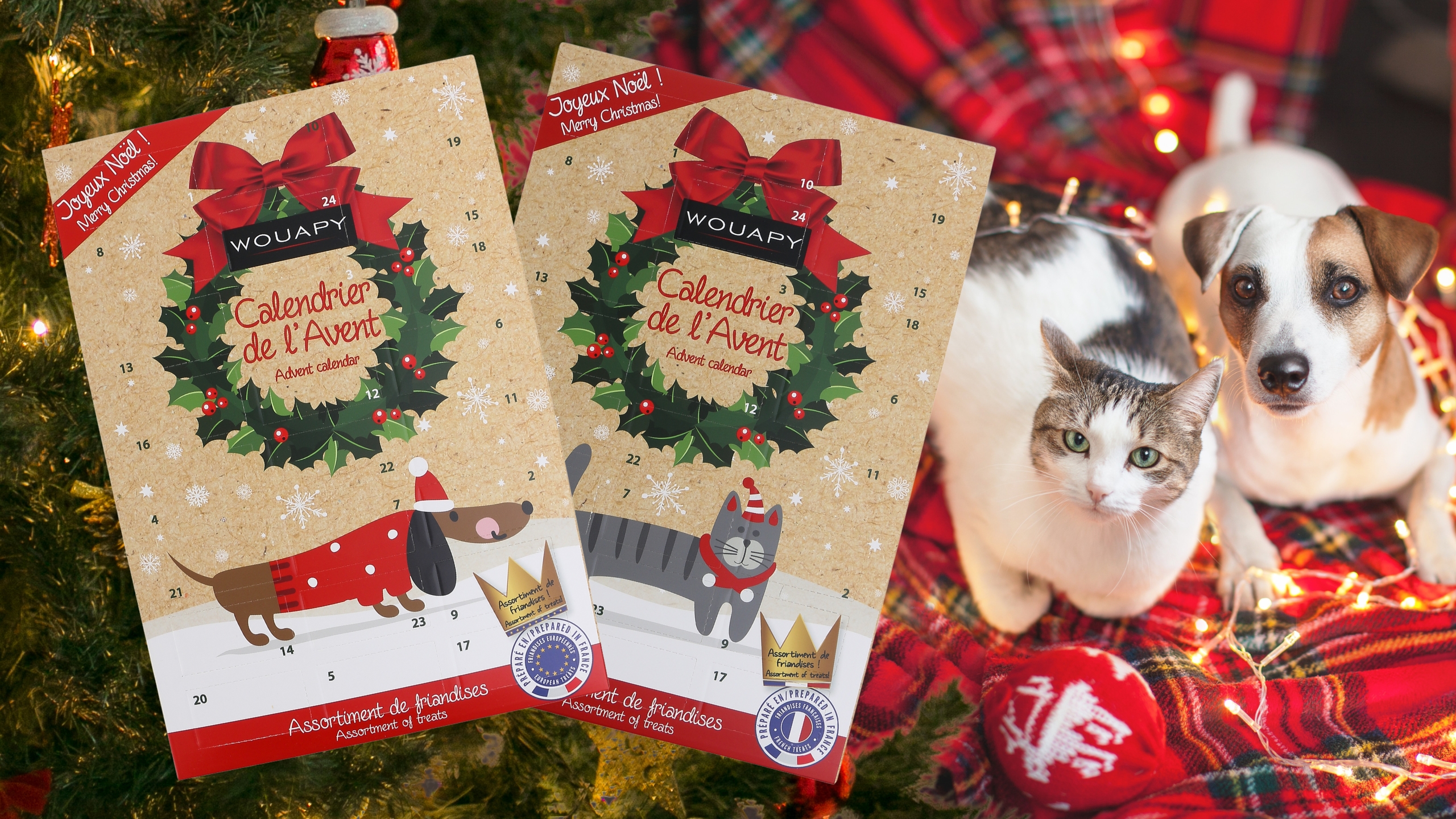 Calendrier De L'Avent Noël - Chien et chat - Waoupy 1 B (1)