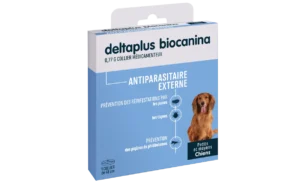 DELTAPLUS PT MOY CHIENS