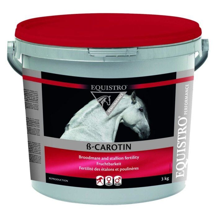 Equistro B-Carotin - Poudre orale - VETOQUINOL 1 equistro b carotin