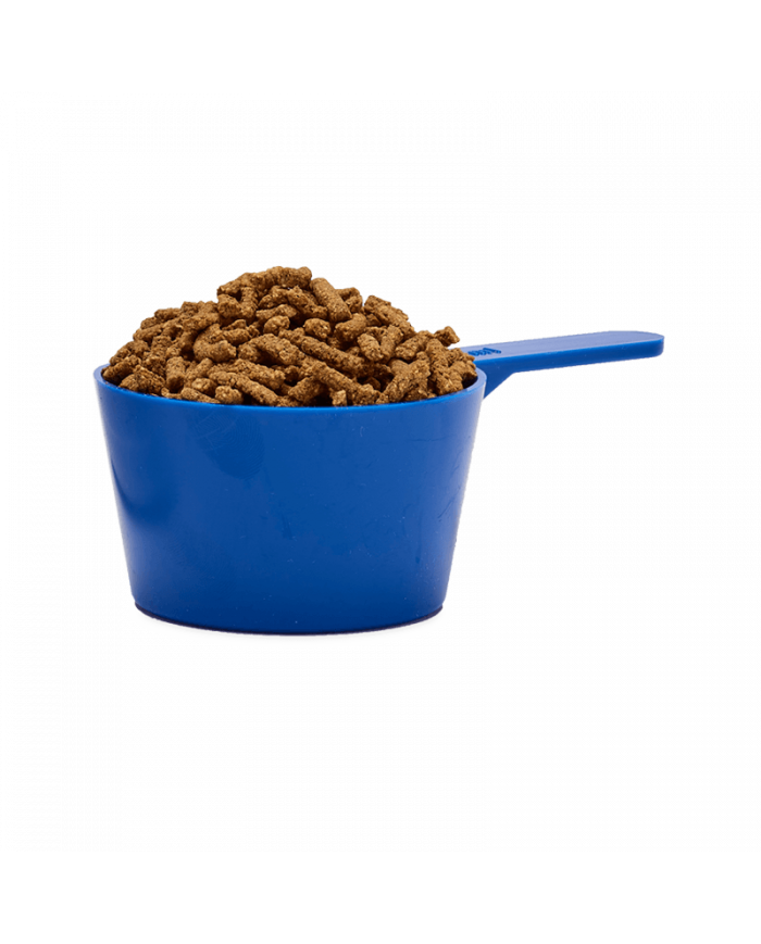 Immuno RS- Soutien immunitaire - AUDEVARD 4 immuno rs (1)